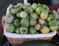 Cooking with Tomatillos