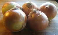 Large Onions