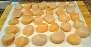 Sea scallops