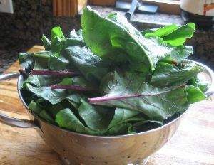 Uncooked Beet Greens