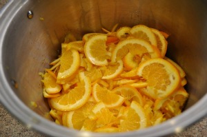 Lemons and Oranges in pot