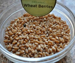 Organic Wheat Berries