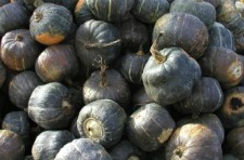 picture of buttercup squash