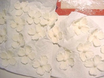 fully formed white flowers out of gum paste lined up on parchment paper