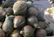 Hubbard Squash