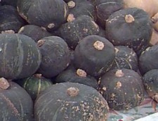 Kabocha Squash