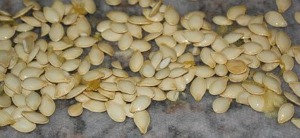 Squash Seeds