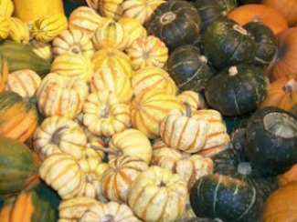 Types of Squash - Summer and Winter Squash, Whats Cooking ...