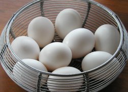 wire Basket full of fresh white shelled eggs