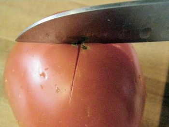 Peeling Fresh Tomatoes