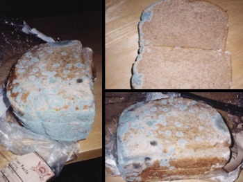 How Does Bread Get Black Mold?  Is Eating Black Bread Mold harmful?