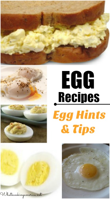 egg recipe collage with graphics