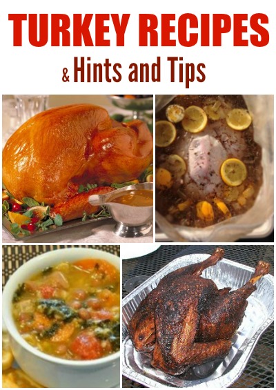 collage of images of turkeys cooked and served in a variety of different ways