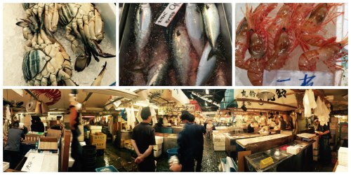 Tsukiji fish Market