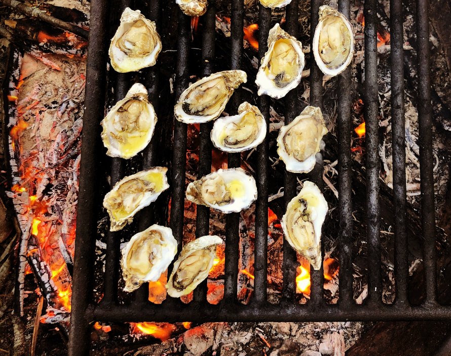 Canberra Uretfærdig album Grilled Oysters Recipe, Whats Cooking America