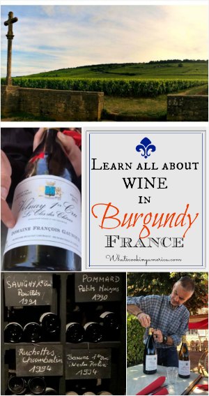 Learn about wine in Burgundy France