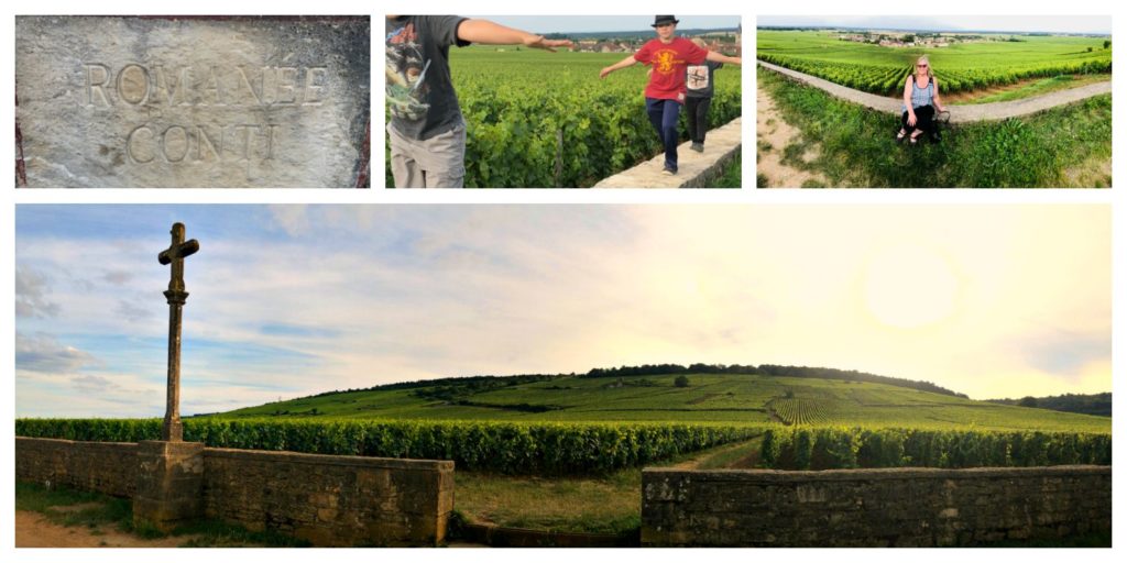 Food Travels- France, Romanée-Conti Vineyard