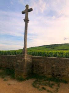 Food Travels - France Vineyard Crosses